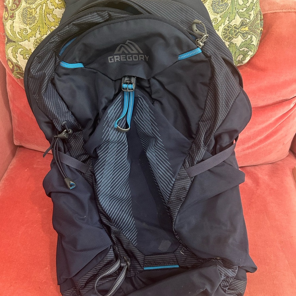 Gregory Navy and Black Men's Backpack (20L)
